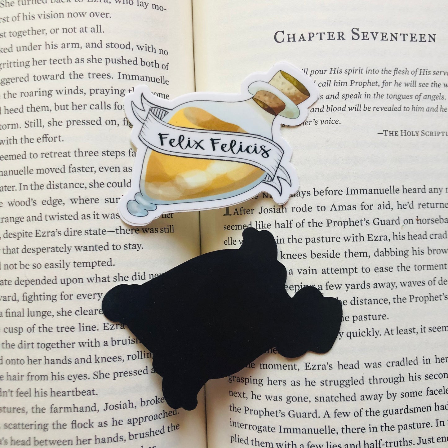 Potion Inspired - Magnets