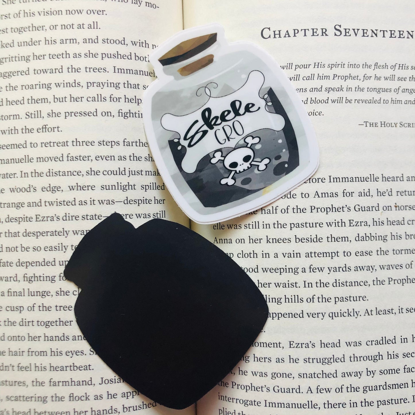 Potion Inspired - Magnets