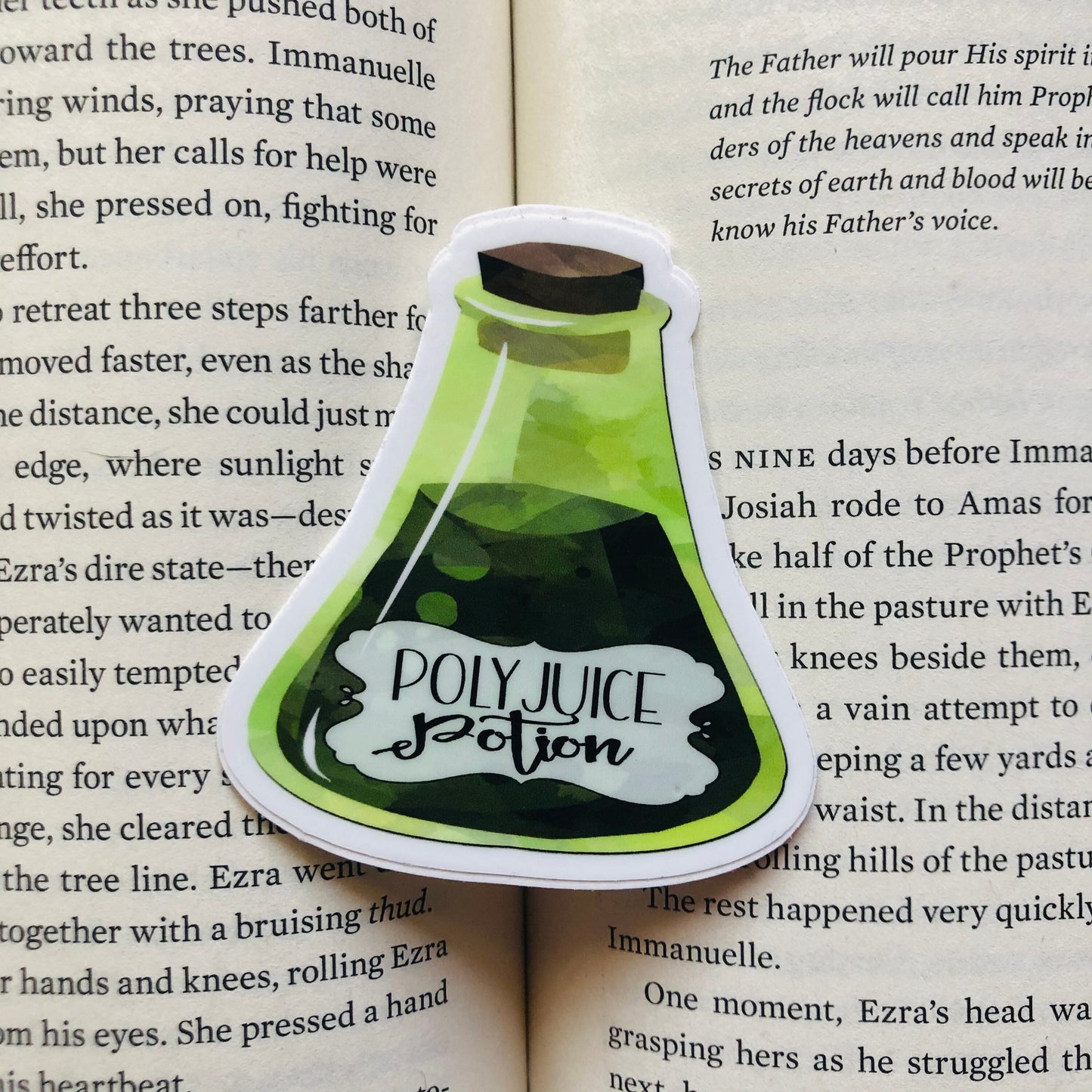 Potion Inspired - Magnets